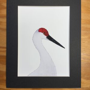 Sandhill Crane Print, 6x8 artwork matted to 8x10