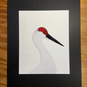 Sandhill Crane Art Print, 8x10 matted to 11x14