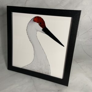 Framed metal art print Sandhill Crane 8" x 8" square