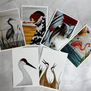 Post Cards set of (6) Bird art prints